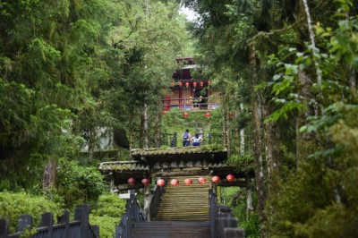 108年7月15日首發上路